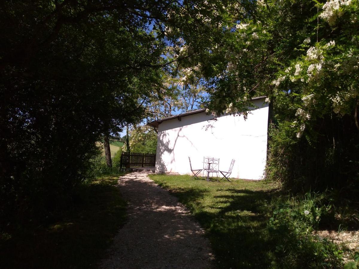 Gîte en pleine nature proche du lac de la Gimone Saint-Blancard Esterno foto